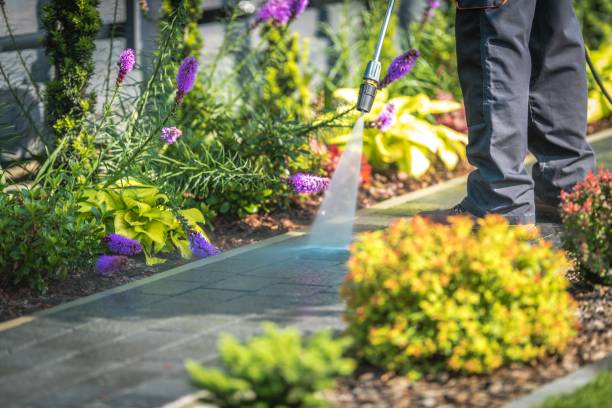 Best Fence Cleaning  in Bogota, NJ